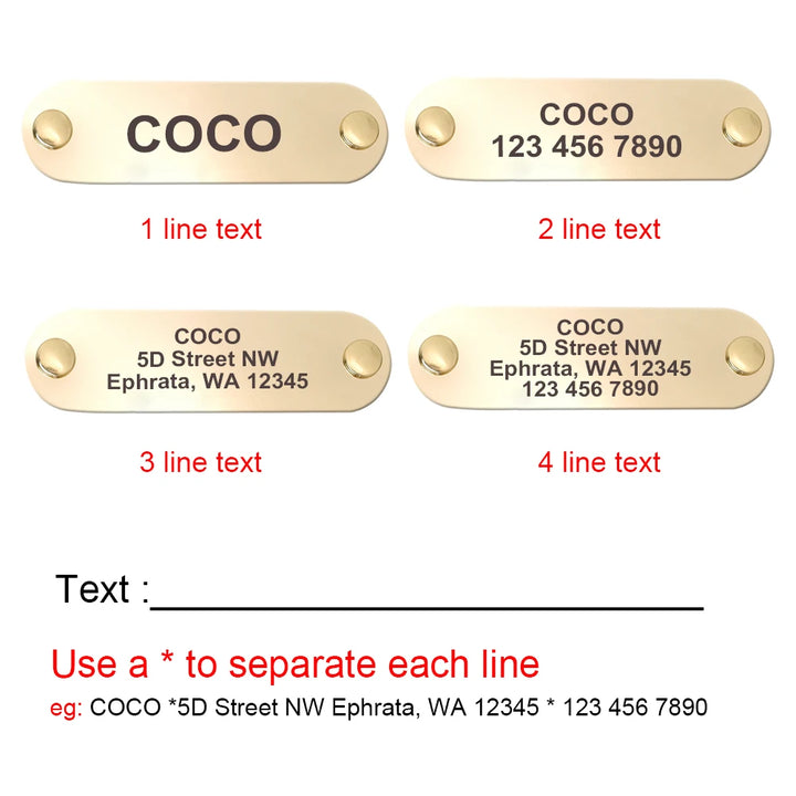 Coleira de Couro Personalizada