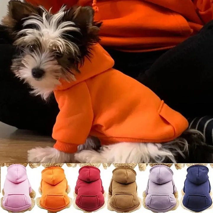 Roupas de Inverno para Cães