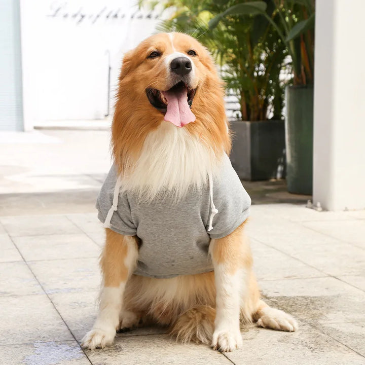 Sweatshirt com Capuz para Cães Grandes 🐶🧥
