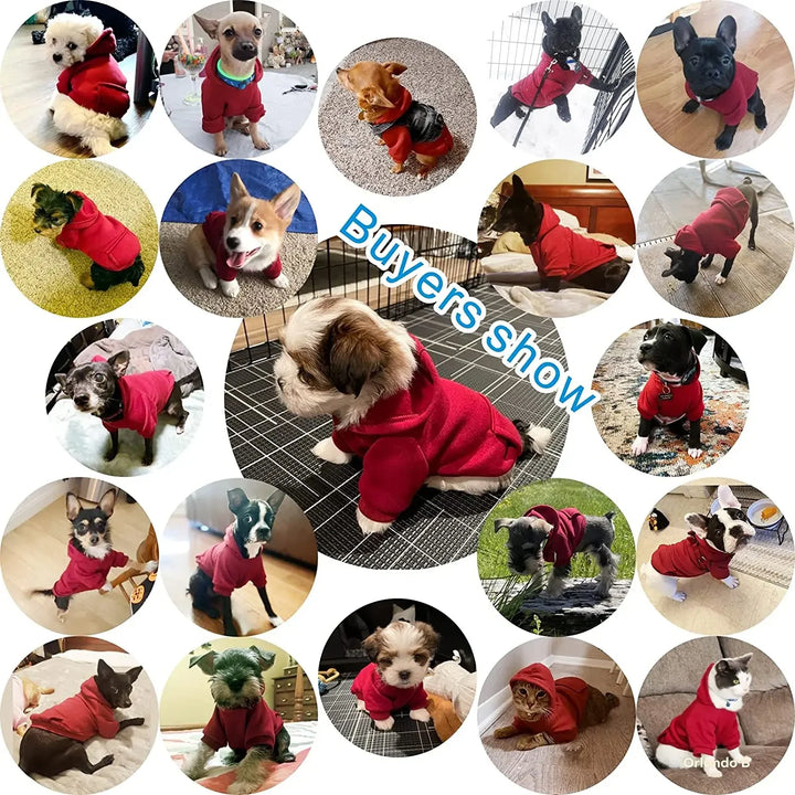 Roupas de Inverno para Cães