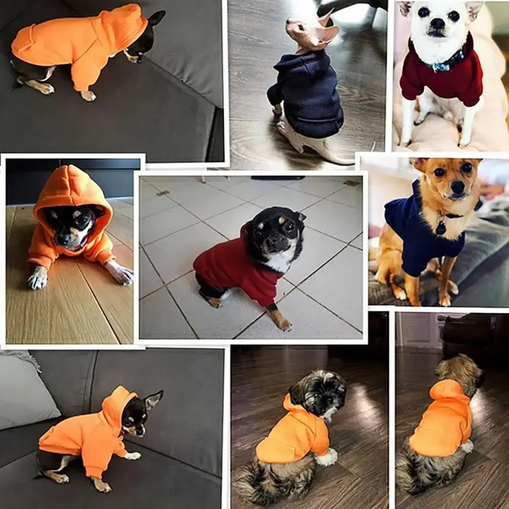 Roupas de Inverno para Cães