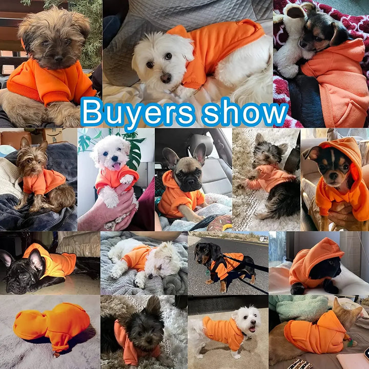 Roupas de Inverno para Cães