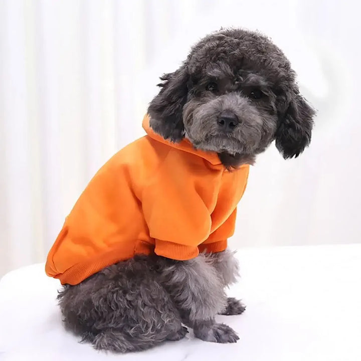 Roupas de Inverno para Cães