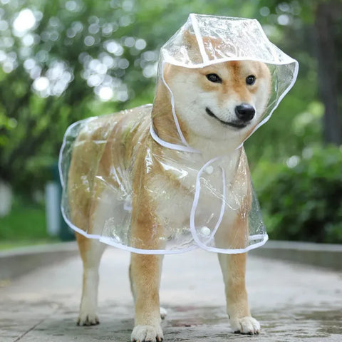 Capa de Chuva Transparente para Cães 🐶☔