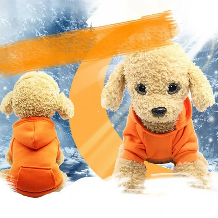 Roupas de Inverno para Cães