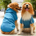 Sweatshirt com Capuz para Cães Grandes 🐶🧥