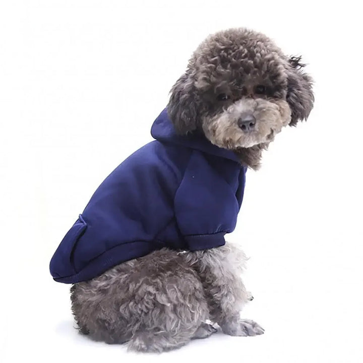 Roupas de Inverno para Cães