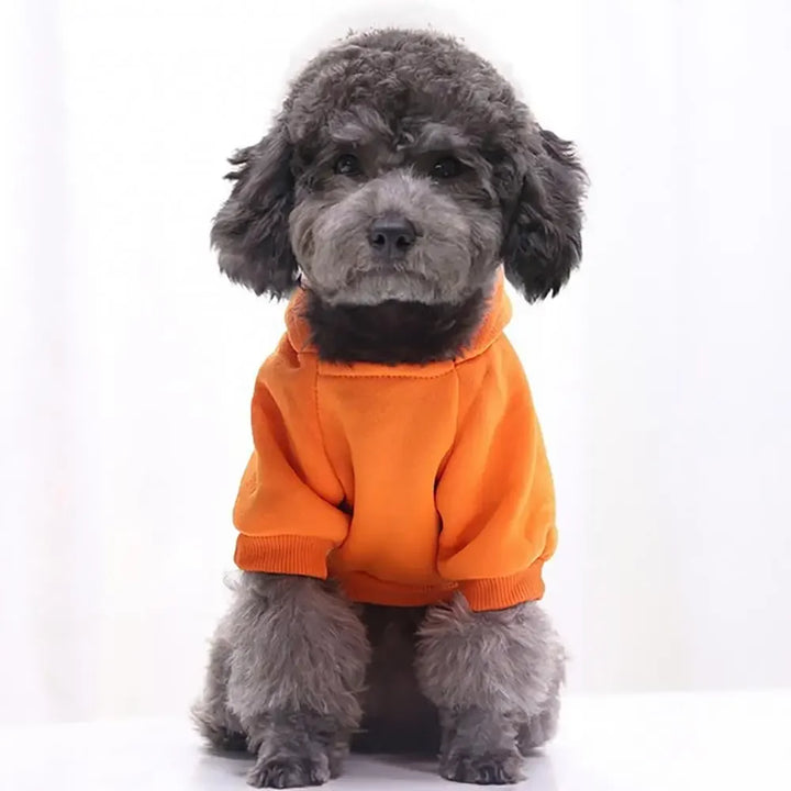 Roupas de Inverno para Cães